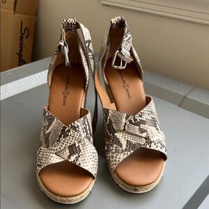 Treasure & Bond Women's Snake-Print Espadrille Wedge Sandals in Beige and Brown